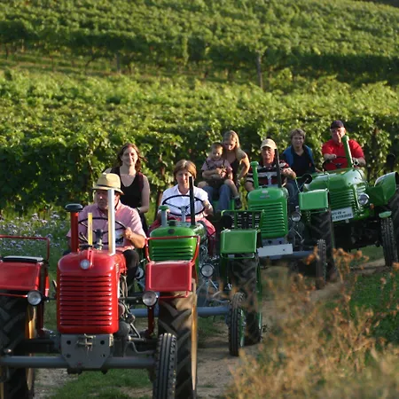 Geniesserhof Haimer - Garni 4* Poysdorf