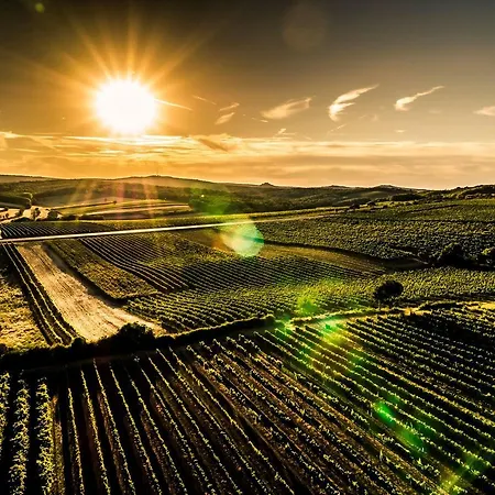 Geniesserhof Haimer - Garni