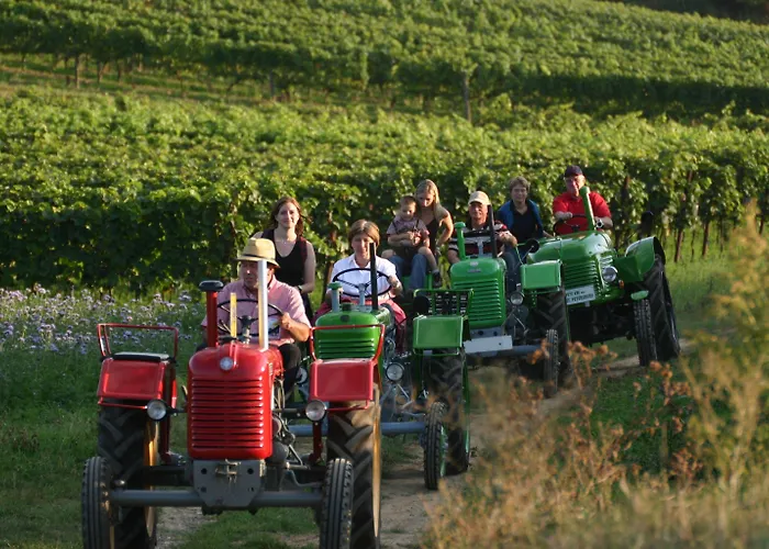 Geniesserhof Haimer - Garni 4* Poysdorf