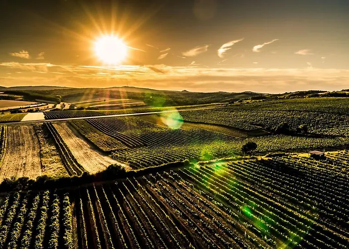 Geniesserhof Haimer - Garni